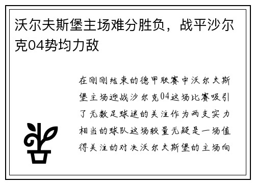 沃尔夫斯堡主场难分胜负，战平沙尔克04势均力敌